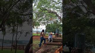 Severino revoltado vidanaroça roca nature vidadegado adote sitio agro humor videoengraçado [upl. by Grose297]