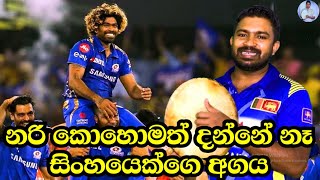 Lasith Malinga ලසිත් මාලිංග උපහාර විරිදු [upl. by Enelrac]