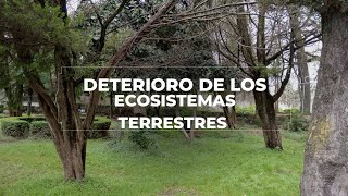 Deterioro de los ecosistemas terrestres Video Documental [upl. by Nepsa]