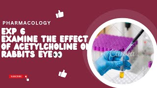 Study of Effect of Acetylcholine on Rabbits Eye  Exp 6  Pharmacology II YEAR pharmacy practical [upl. by Tennes]