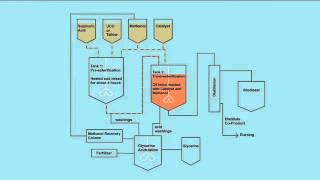 Biodiesel Animation [upl. by Adanama]