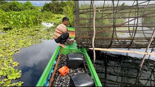 Khmer fishing in Tonle Sap Lake during the rainy season catches very good fish [upl. by Floridia246]