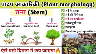 तना Stem  तने का रूपांतरण  Plant morphology  Botany  Study vines official [upl. by Adena]