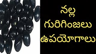 నల్ల గురిగింజ చెట్టు ఉపయోగాలు [upl. by Flatto]