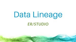 Data Lineage with ERStudio [upl. by Llessur351]