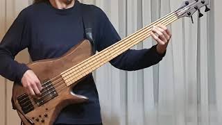 Daft Punk  Voyager Bass Cover [upl. by Enaols]