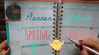 Plannen amp Kletsen  Lente amp Flamingo [upl. by Loredana]