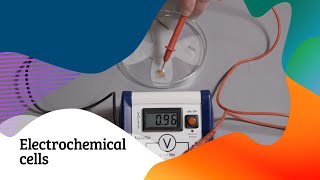 Electrochemical cells – practical video  16–18 years [upl. by Ailak]