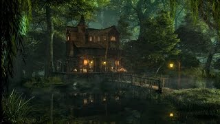 Swamp Sounds at Night  Frogs Crickets Light Rain Forest Nature Sounds [upl. by Isabelita]