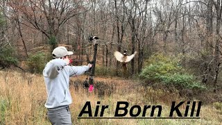 BOW HUNTING PHEASANTS Air kill bonus blowgun kill [upl. by Hescock]