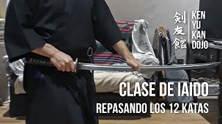 IaiDomiciliario  Repasando los 12 katas de Seitei Iaido [upl. by Rramal]