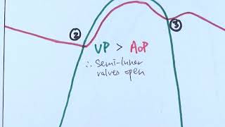 Cardiac cycle of heart [upl. by Herwig709]