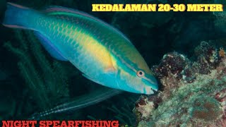 Spearfishing memburu ikan di dasar lautan kedalaman 2030 meter [upl. by Relluf]