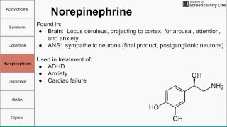 Neurotransmitters of the human body [upl. by Prinz]