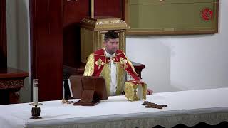 ♱ Wednesday Evening English Gospel and Homily 9112024 [upl. by Blainey]