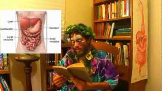 Prof Arnold Ehret on Colon Health [upl. by Leora364]