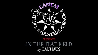 Bauhaus  In the Flat Field  Karaoke Instrumental w Lyrics  Caritas Goth Karaoke [upl. by Frasch948]