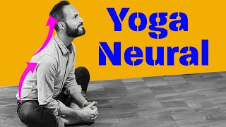 🧘‍♂️ Yoga NEURAL  6 EXERCICES Anti Stress Anti Douleur Travailler sur le Système Nerveux Autonome [upl. by Horatio]