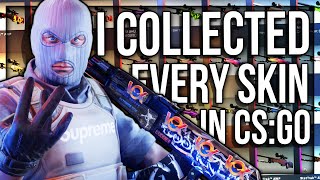 I COLLECTED EVERY SKIN IN CSGO 100000 [upl. by Primrose59]