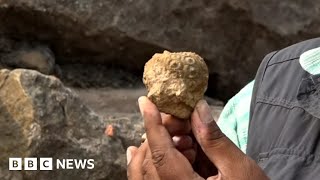 Rare fossils in India reveal secrets of the planet  BBC News [upl. by Anaidni]