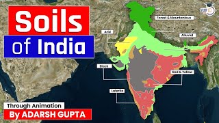 Soils of India Explained through 3D Animation  Indian Geography  UPSC GS1 [upl. by Lairea]