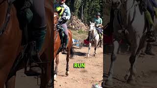 Explore the Tevis Trail from Anywhere Virtual Ride 2024 horses horseriding endurance shorts [upl. by Ingram]