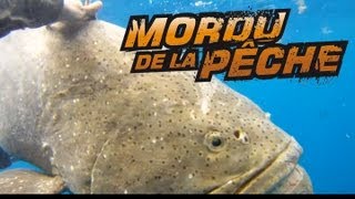 Combat de titan avec un Mérou de 600lbs  Mordu de la Pêche avec Cyril Chauquet [upl. by Yllil57]