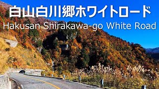 紅葉と雪の白山白川郷ホワイトロード有料区間岐阜→石川 全線  4K車載動画 [upl. by Ohploda170]