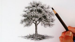 How to draw a tree by pencils with easy ways [upl. by Ilocin816]