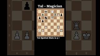 Mikhail Tal finds Checkmate in 9 [upl. by Castillo]