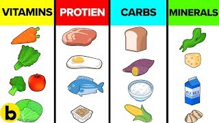 How The Six Basic Nutrients Affect Your Body [upl. by Rebane]