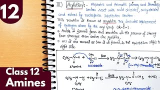 12 Alkylation and Acylation of amines Benzoylation Amines Class12 Chemistry jee neet chemistry [upl. by Gardie]