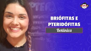 Botânica  Briófitas e Pteridófitas 2 🐵📚 [upl. by Maryanne]