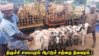 திருச்சி சமயபுரம் ஆட்டுச் சந்தை நிலவரம்  Trichy Samayapuram aattu santhai  Goat market in Trichy [upl. by Novyert]