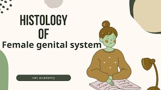 Histology of Female Genital System [upl. by Nydnarb]