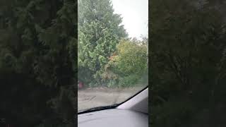 youtubeshorts autumn weather 🌧️🌧️ [upl. by Botsford297]