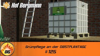 LS19  Hof Bergmann 3 125  Grünpflege an der OBSTPLANTAGE  FS19  Lets Play HD [upl. by Canning765]