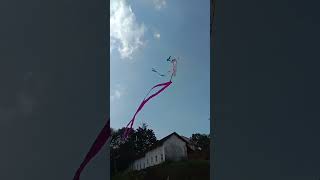 kite 🪁 flying competition 2310242 [upl. by Latia]