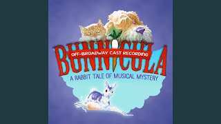 Bunnicula Opening [upl. by Dorcy634]