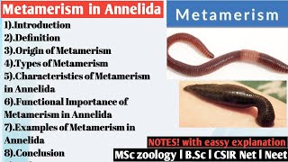 Metamerism in Annelida  Metamerism [upl. by Dane]