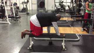 Dumbbell Pinching Quadruped Bird Dog Bench Row [upl. by Stephenson]