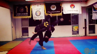 Hapkido VS Taekwondo [upl. by Eidua]