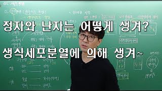 중3 과학 5단원 생식과 유전  05 감수분열생식세포 분열 [upl. by Otsenre1]