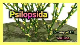 Psilopsida botanywithyoutube [upl. by Boys]