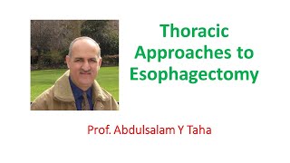 Thoracic Approaches to Esophagectomy [upl. by Tewfik]