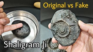 Original Shaligram Ji  Shaligram Ki Pehchan  Original vs Fake Test Shaligram Stone [upl. by Tarfe29]