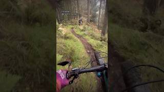 Steep MTB trails at Aberfoyle Mountain bike Enduro trails mtb mtbpov mountainbiker mtbrider [upl. by Retsae]