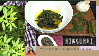 निर्गुंडी  NIRGUNDI PATTA How to make medicinal plant Nirgundi Leaf for Immunity [upl. by Julee]