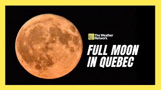 July’s Full Moon Known as Buck or Thunder Moon Shines Over Quebec [upl. by Jasik]