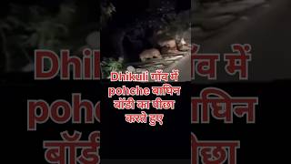 Dhikuli Village Tak Aai Baghin wildlife animals nature shorts viral [upl. by Ellenij244]